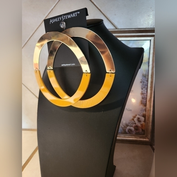 Large post back hoops! They fold for storage. - Picture 4 of 6